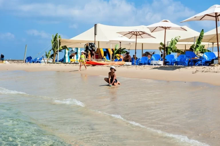 צילום מסך 2024-11-26 104412