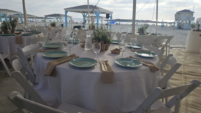 WhatsApp Image 2026-02-15 at 11.06.26 (1)